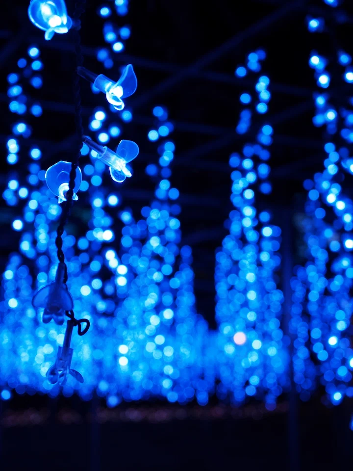 藤の花を模した電球